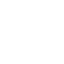 Device Security Icon